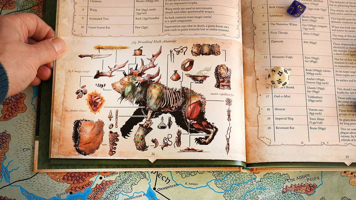 Wondrous Expeditions - Forests (Hardcover)